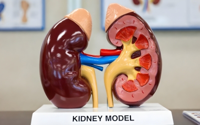 Kidney Care